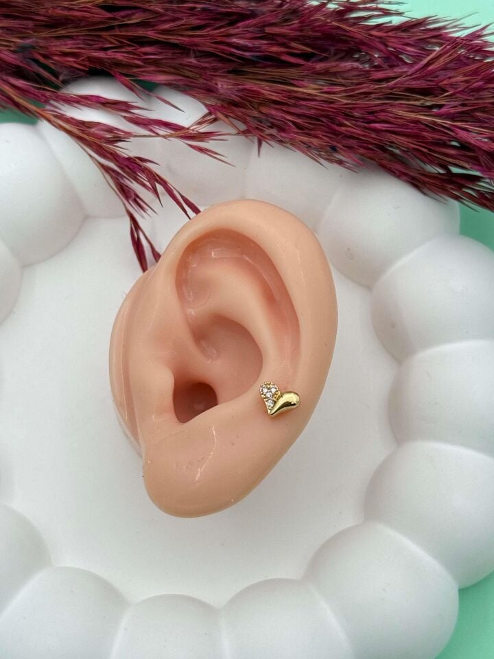 Çelik Tragus // TRAG-012