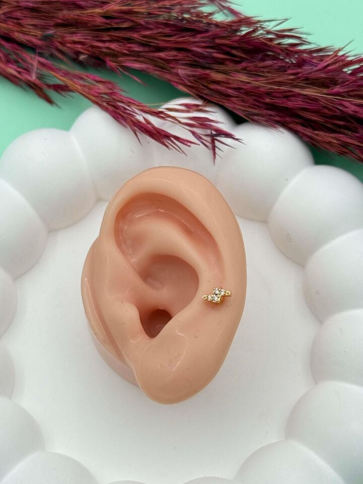 Çelik Tragus // TRAG-016