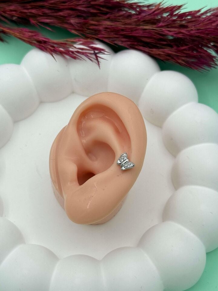 Çelik Tragus // TRAG-021