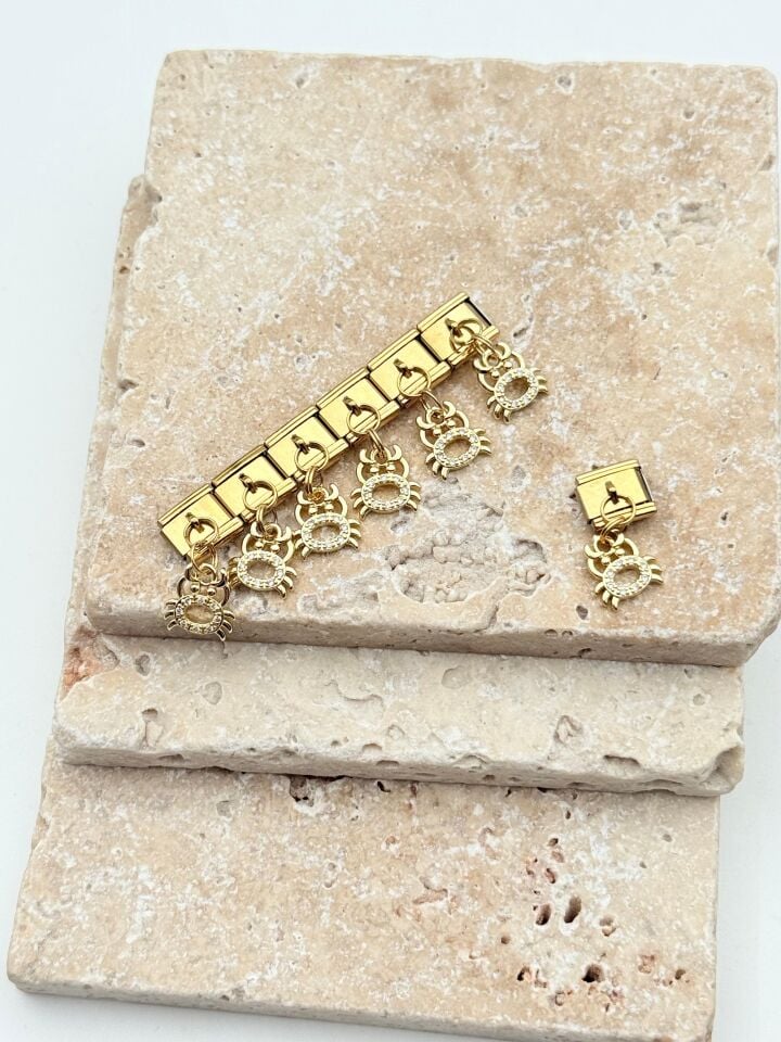 NMT Charm // CHARM-1085