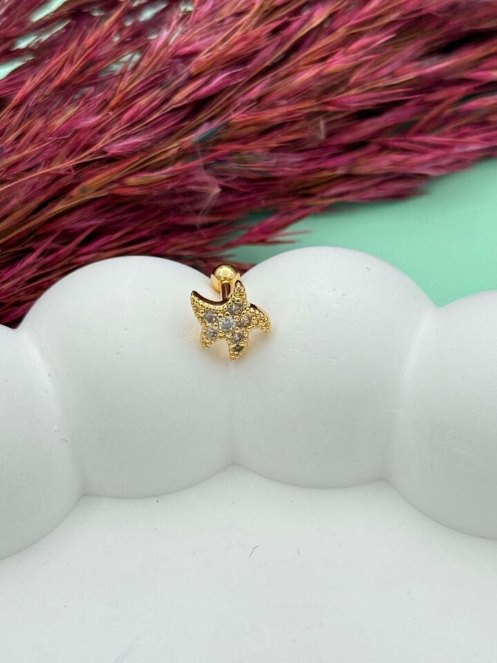 Çelik Tragus // TRAG-038