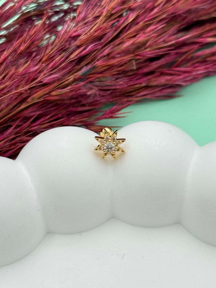 Çelik Tragus // TRAG-041