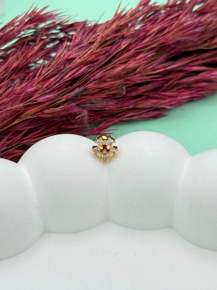 Çelik Tragus // TRAG-043