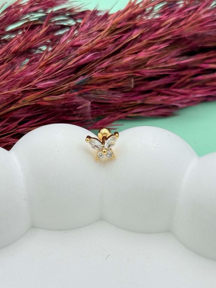 Çelik Tragus // TRAG-044