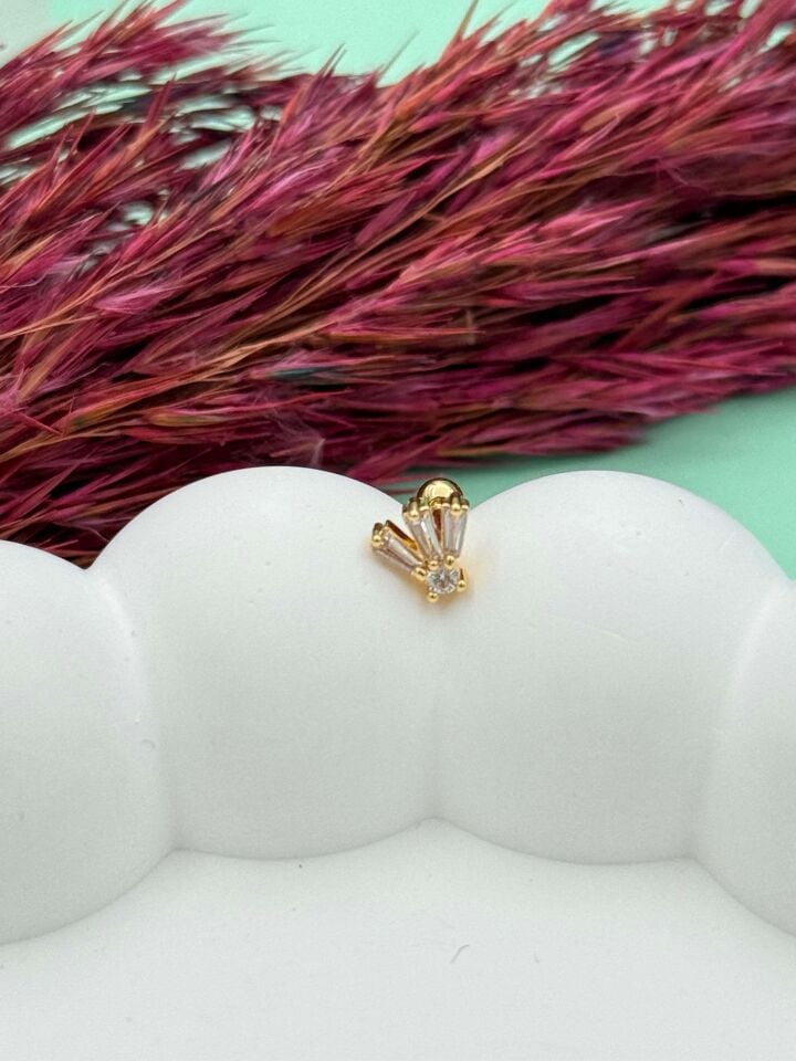 Çelik Tragus // TRAG-049