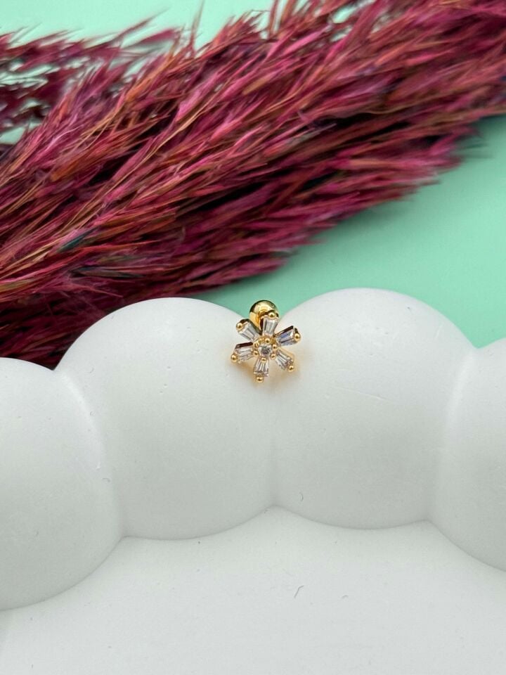 Çelik Tragus // TRAG-053