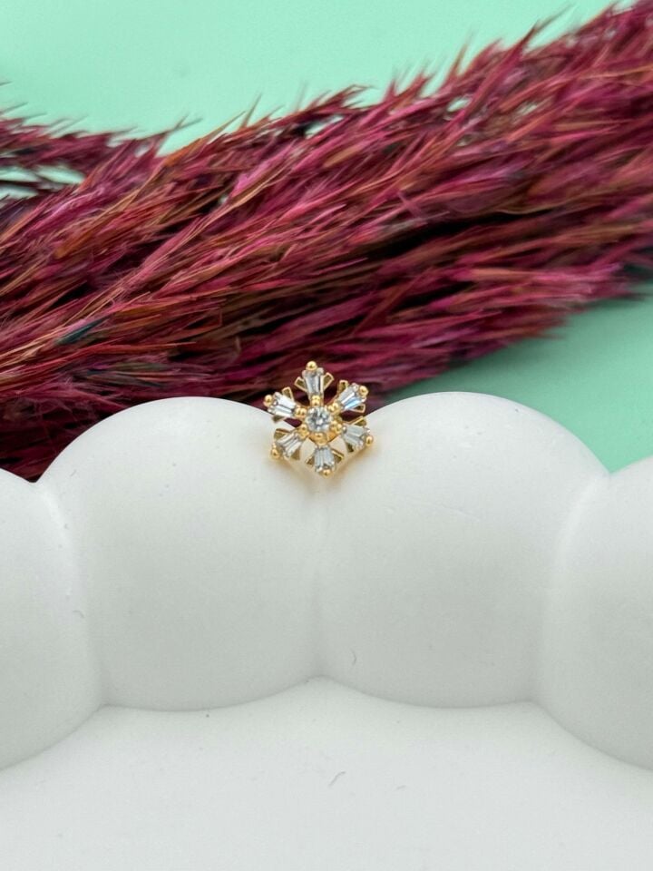 Çelik Tragus // TRAG-054