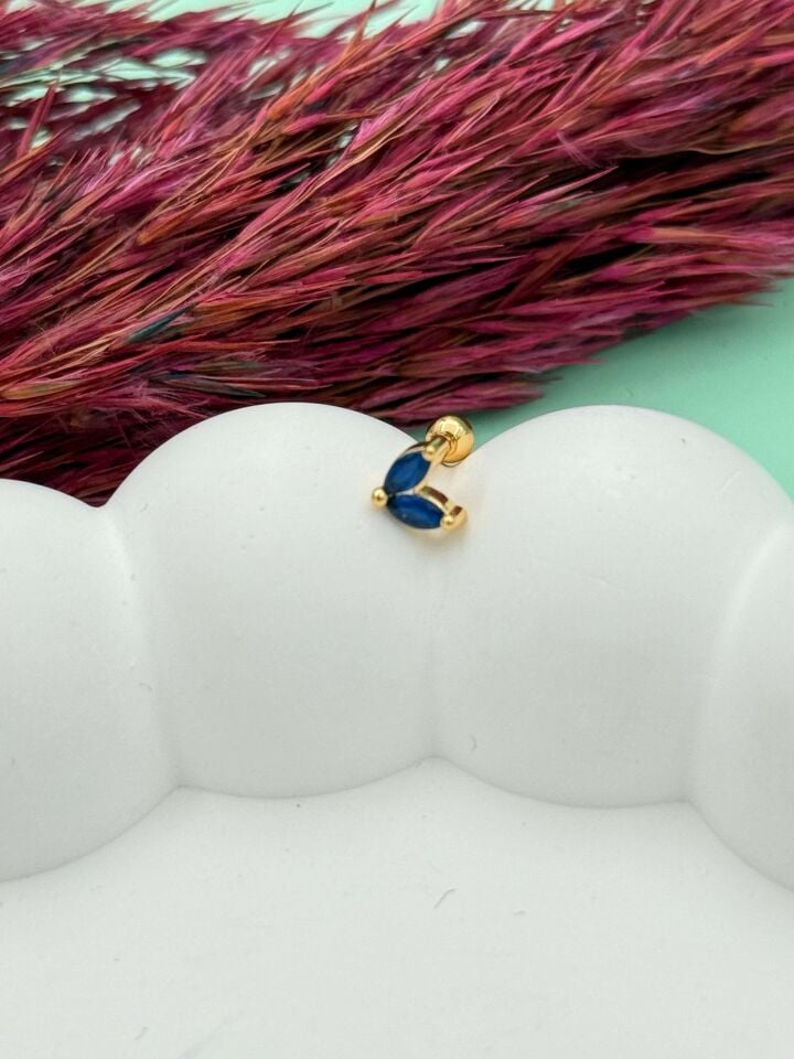 Çelik Tragus // TRAG-059