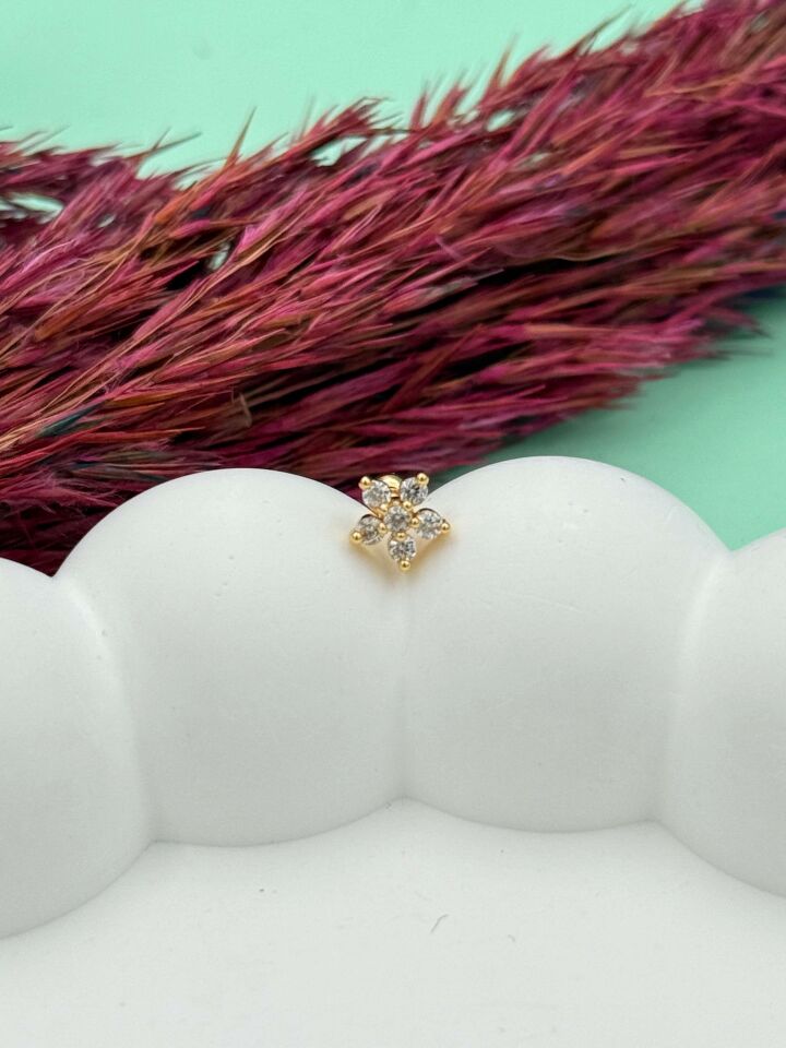 Çelik Tragus // TRAG-063