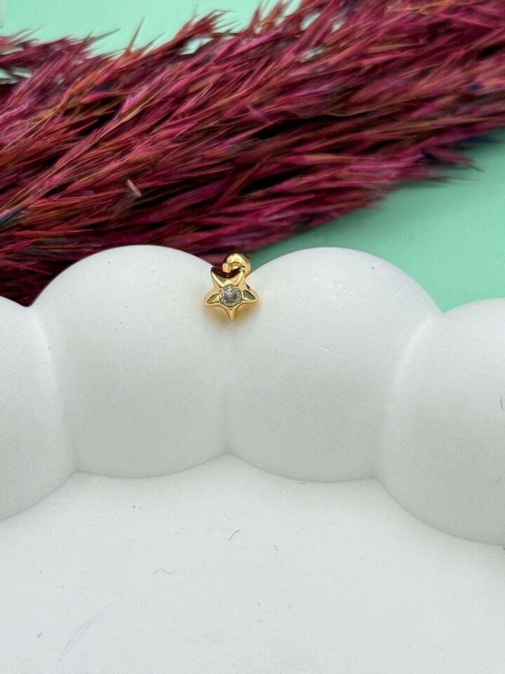 Çelik Tragus // TRAG-068