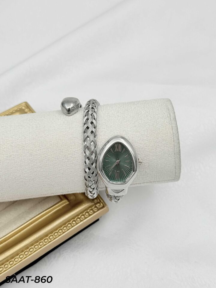 Çelik Yılan Saat // SAAT-860