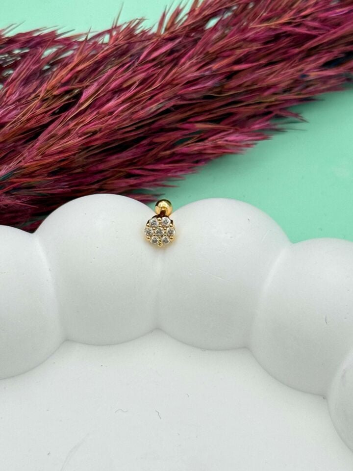 Çelik Tragus // TRAG-072