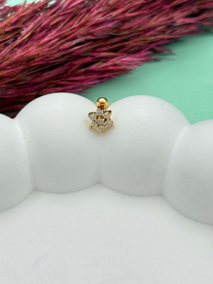 Çelik Tragus // TRAG-076