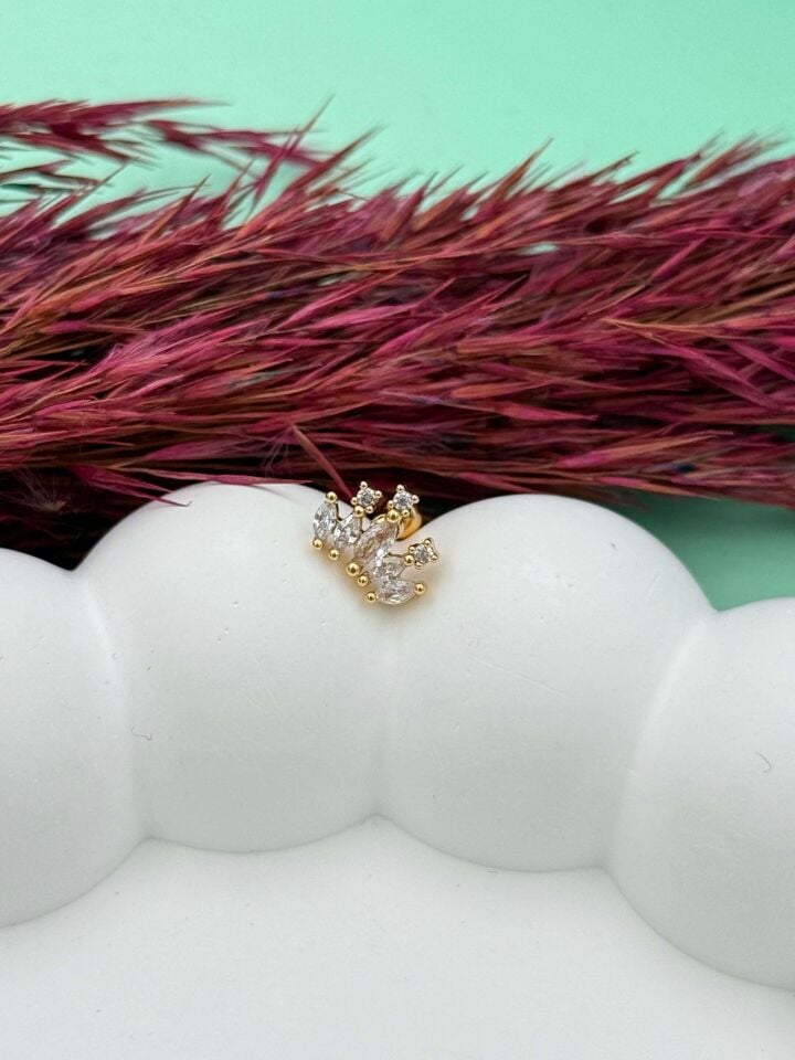 Çelik Tragus // TRAG-090