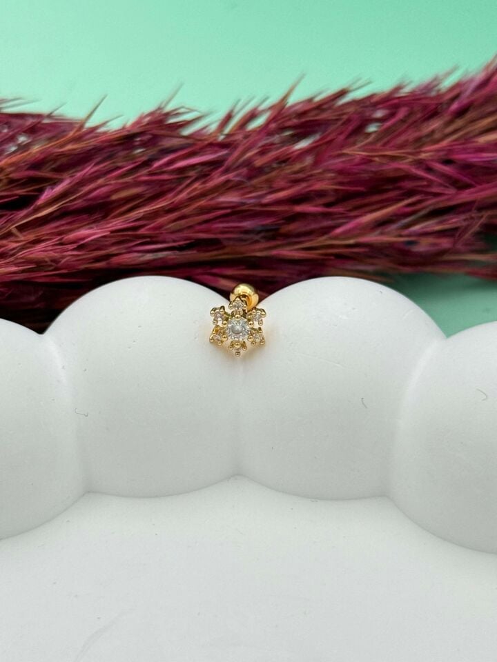 Çelik Tragus // TRAG-095