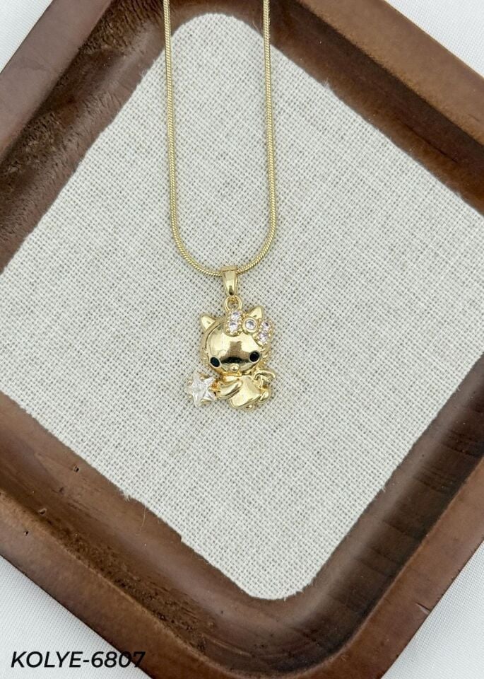 Çelik Kolye 45cm // KOLYE-6807