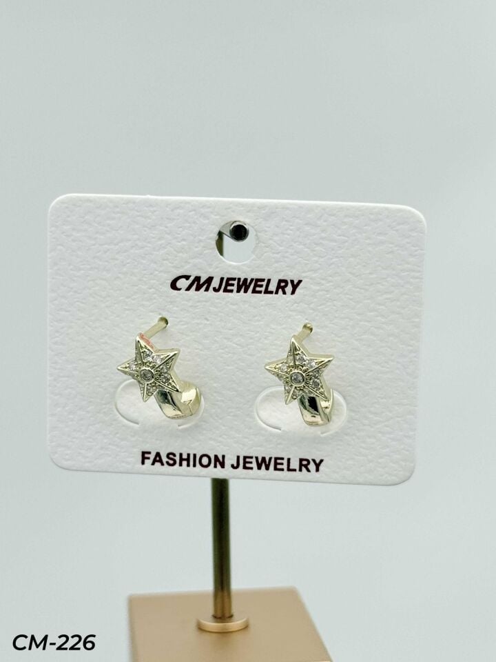 14K CM Küpe // CM-226