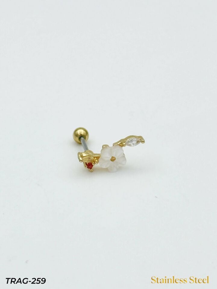 Çelik Tragus // TRAG-259