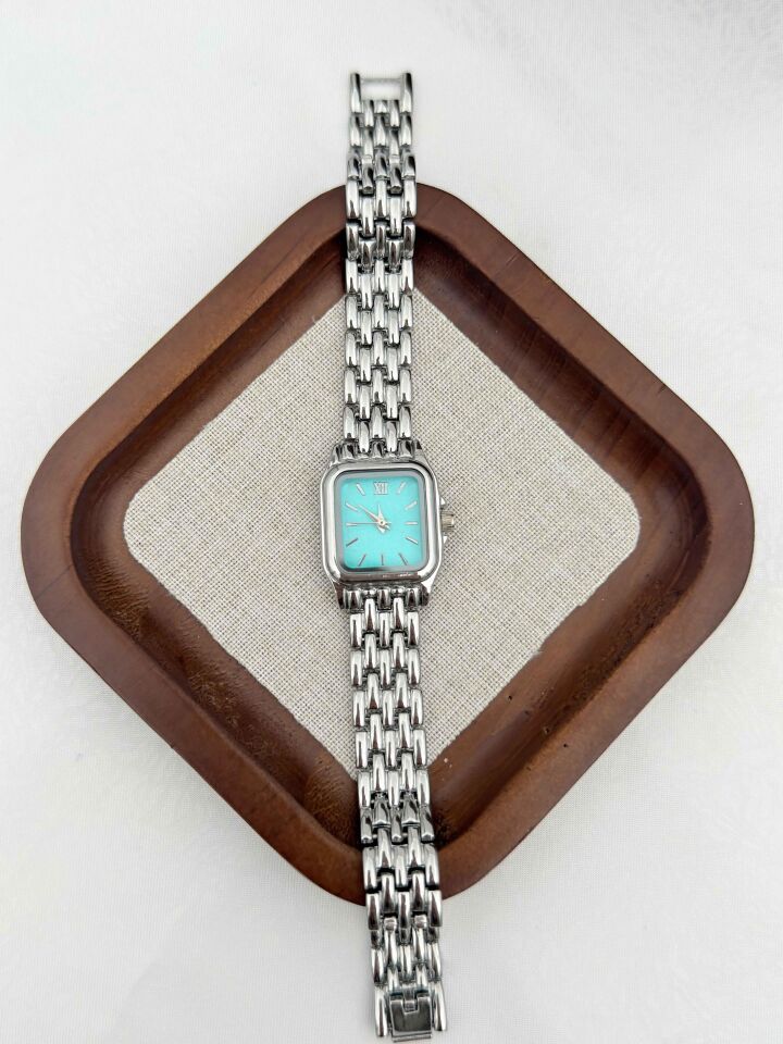 Çelik Kadın Saat // SAAT-564