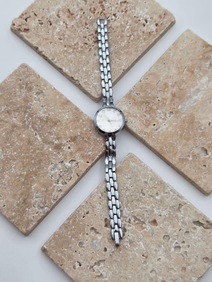 Çelik Saat // SAAT-314