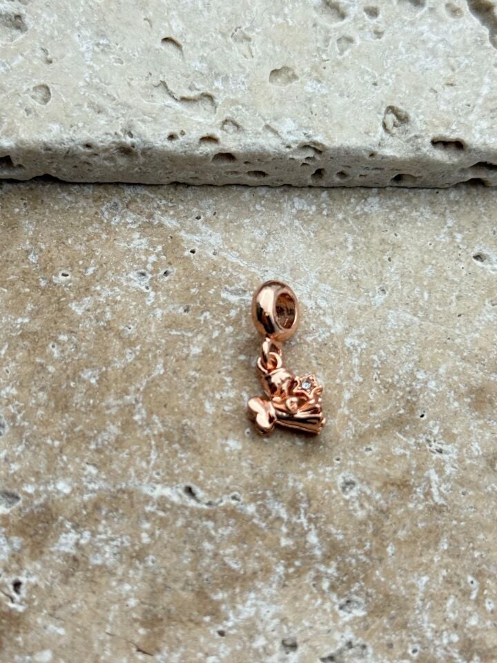 PNDR Charm // CHARM-800