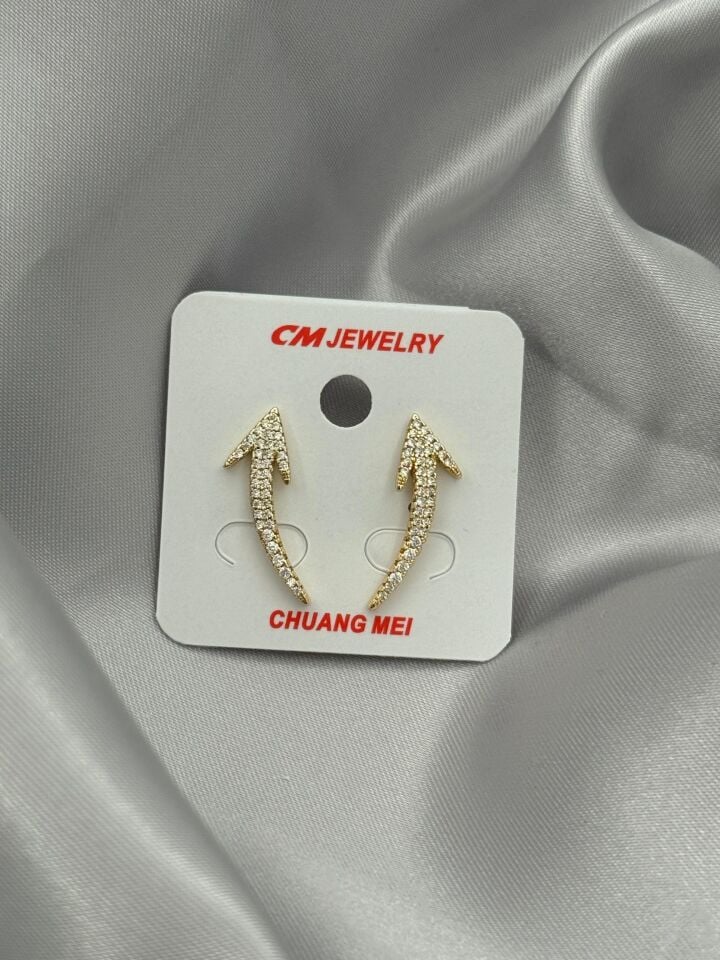 CM Küpe // CM-161