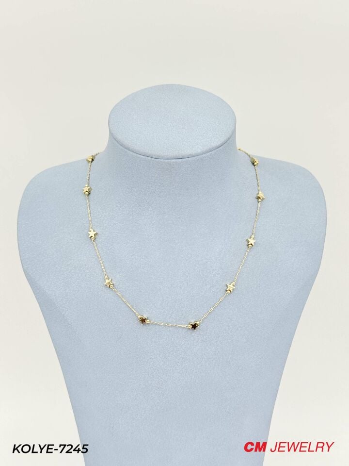 14K CM Zincir 45cm // KOLYE-7245