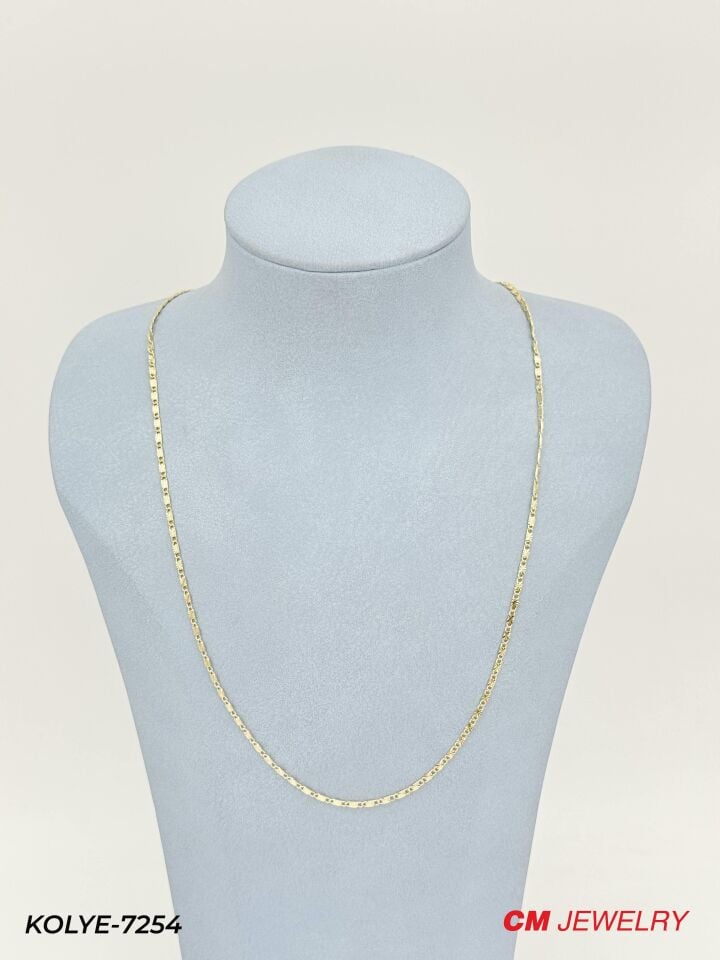 14K CM Zincir 60cm // KOLYE-7254