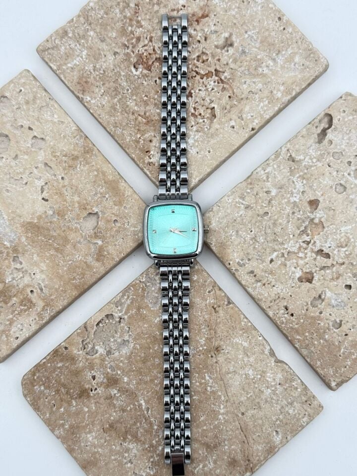 Çelik Kadın Saat // SAAT-520