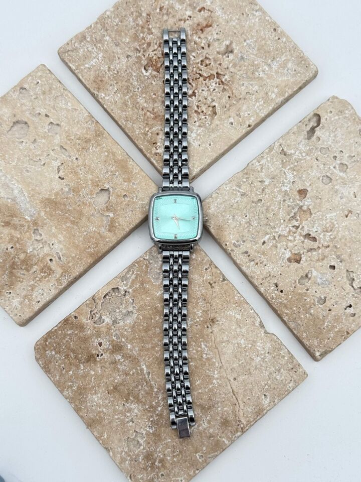 Çelik Kadın Saat // SAAT-539