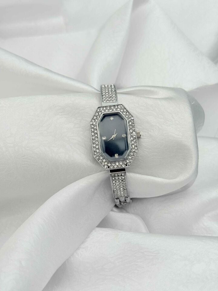 Çelik Kadın Saat // SAAT-679