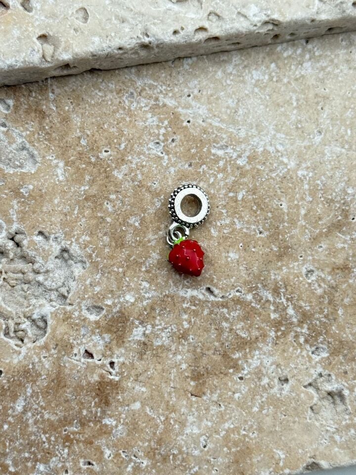 PNDR Charm // CHARM-867