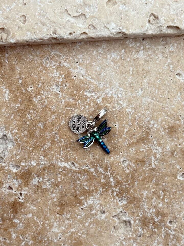 PNDR Charm // CHARM-880