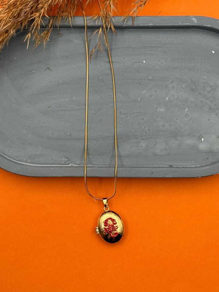 Çelik Kapaklı Kolye 45cm // KOLYE-5549