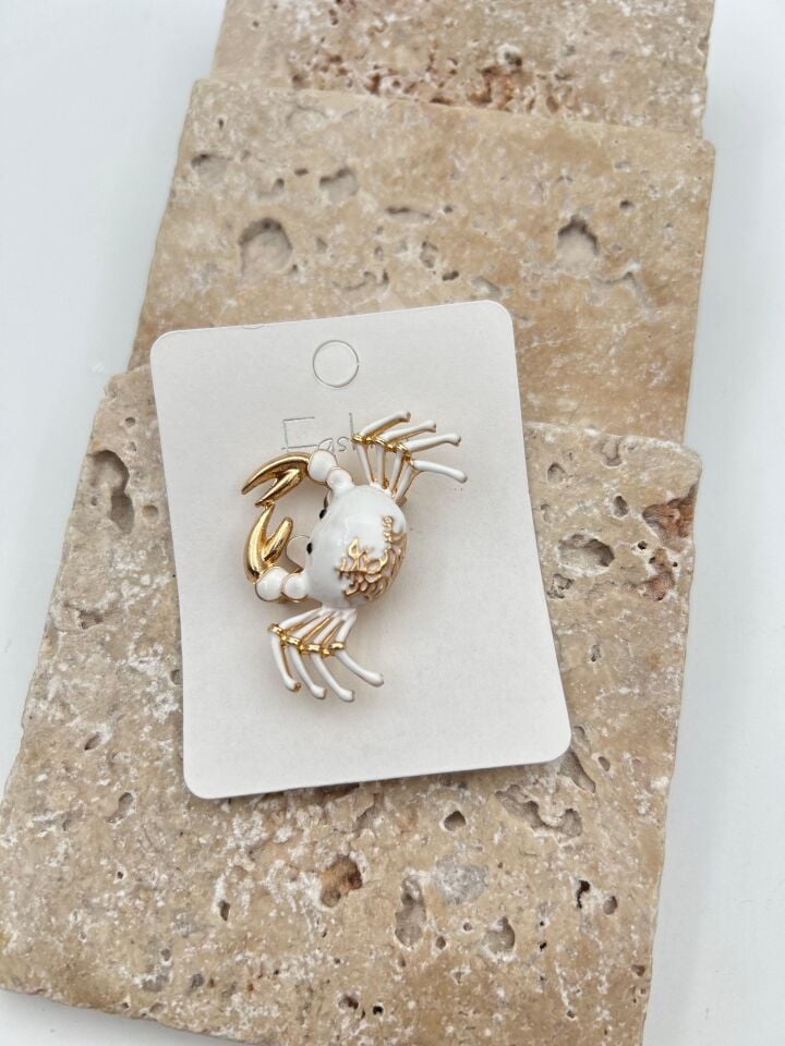 Özel Seri Broş // BROS-648