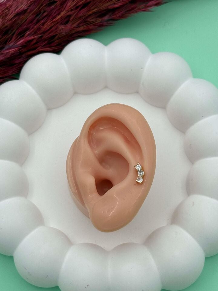 Çelik Tragus // TRAG-001