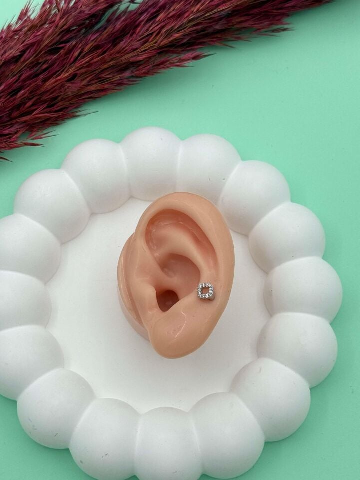 Çelik Tragus // TRAG-002