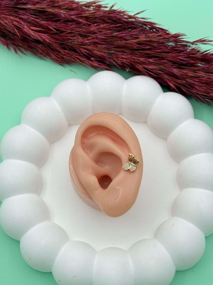 Çelik Tragus // TRAG-005